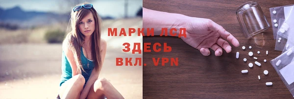 СК Алзамай