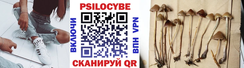 Псилоцибиновые грибы ЛСД  blacksprut ссылки  Кола 