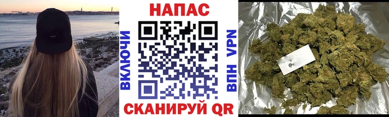Марихуана Amnesia  Кола 